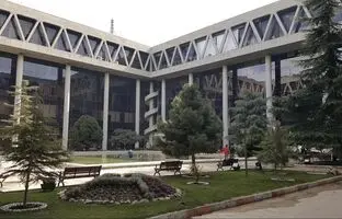 مجریان صداوسیما خروس جنگی شدند! + ویدئو