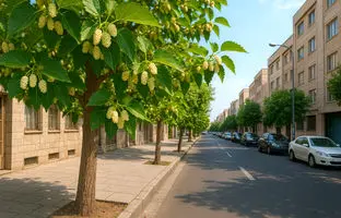 آیا خوردن توت درختان در خیابان‌های تهران و شهرهای بزرگ بی خطر است؟