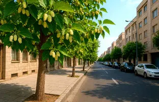 آیا خوردن توت درختان در خیابان‌های تهران و شهرهای بزرگ بی خطر است؟