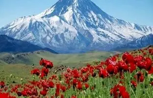 راهنمای سفر: دست لار، بهشت گمشده البرز برای طبیعت گردی و عکاسی