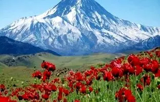 راهنمای سفر: دست لار، بهشت گمشده البرز برای طبیعت گردی و عکاسی
