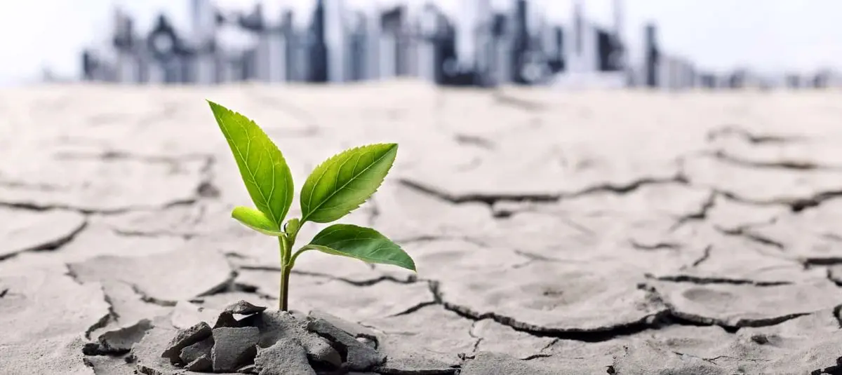 راز تاب آوری در جنگ : این نیز بگذرد!