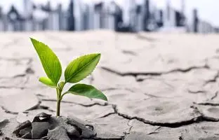 راز تاب آوری در جنگ : این نیز بگذرد!