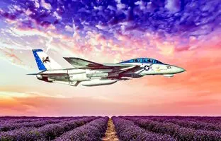 آیا جنگنده F-14 Tomcat یک جت رزمی نسل چهارمی است؟