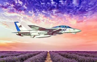 آیا جنگنده F-14 Tomcat یک جت رزمی نسل چهارمی است؟