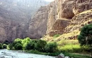 راهنمای سفر: پارک ملی تندوره مشهد؛ جاذبه‌ طبیعی و حیات وحش
