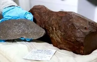 سنگ ۱۷ کیلویی از طلا ارزشمندتر بود و صاحبش نمی‌دانست