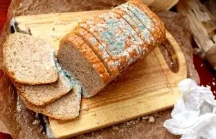 به این دلایل زیاد نان نخرید/  علائم نان ناسالم را بشناسید