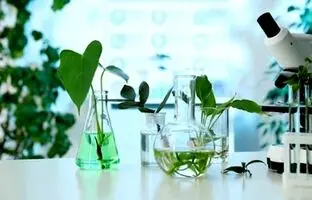 از دست رفتن گیاهان دارویی می‌تواند به یک بحران جهانی تبدیل شود