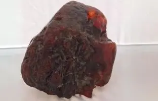 سنگی که ۳۰ سال به عنوان نگه‌دارنده در خانه استفاده می‌شد، گنج ۱ میلیون دلاری از آب درآمد