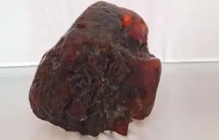 سنگی که ۳۰ سال به عنوان نگه‌دارنده در خانه استفاده می‌شد، گنج ۱ میلیون دلاری از آب درآمد