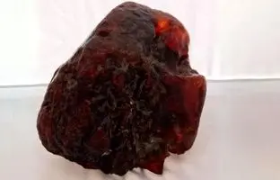 سنگی که ۳۰ سال به عنوان نگه‌دارنده در خانه استفاده می‌شد، گنج ۱ میلیون دلاری از آب درآمد