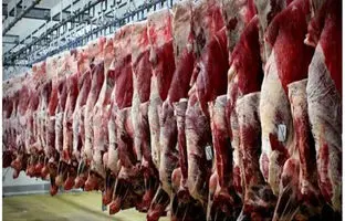 قیمت گوشت قرمز، امروز دوشنبه ۱۳ اسفند ۱۴۰۳
