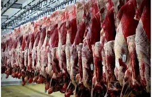 قیمت گوشت قرمز، امروز دوشنبه ۱۳ اسفند ۱۴۰۳
