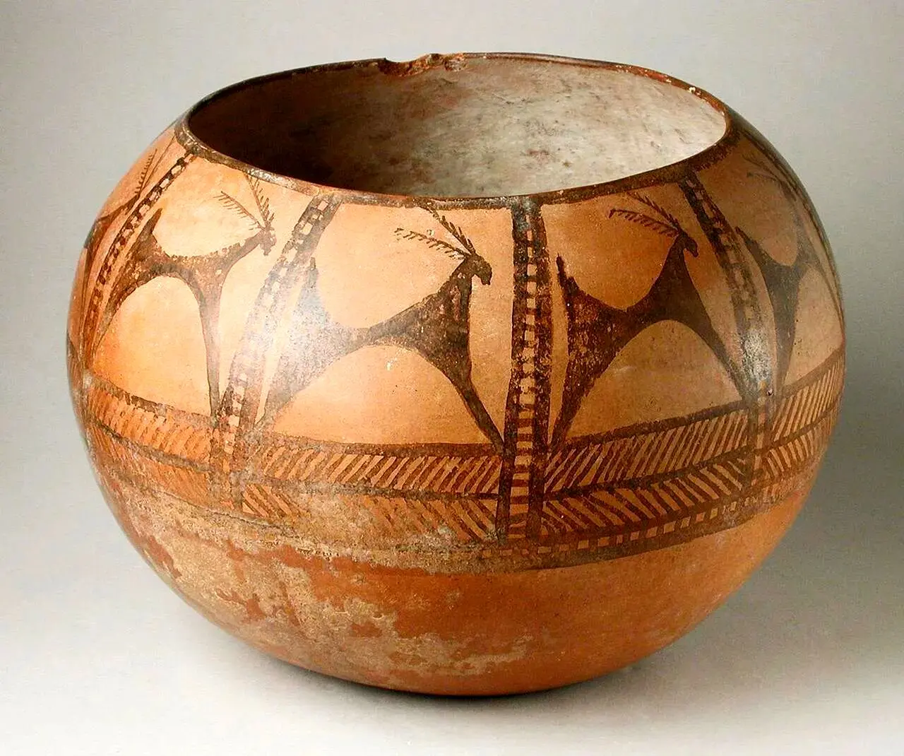 کشف اسکلت باستانی دوره سیلک سوم در چشمه علی + تصاویر