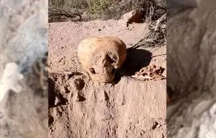  کارگران ساختمانی جمجمه «مرد مورچه‌ای» را کشف کردند 