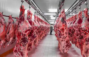 
قیمت گوشت قرمز، امروز ۲۰ خرداد ۱۴۰۴
