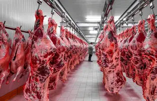 راهنمای بازار؛ قیمت گوشت قرمز، امروز ۱۰ خرداد ۱۴۰۴
