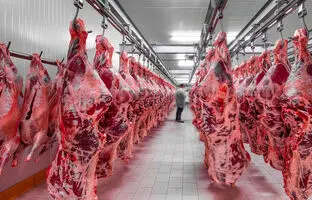 
قیمت گوشت قرمز، امروز ۲۰ خرداد ۱۴۰۴
