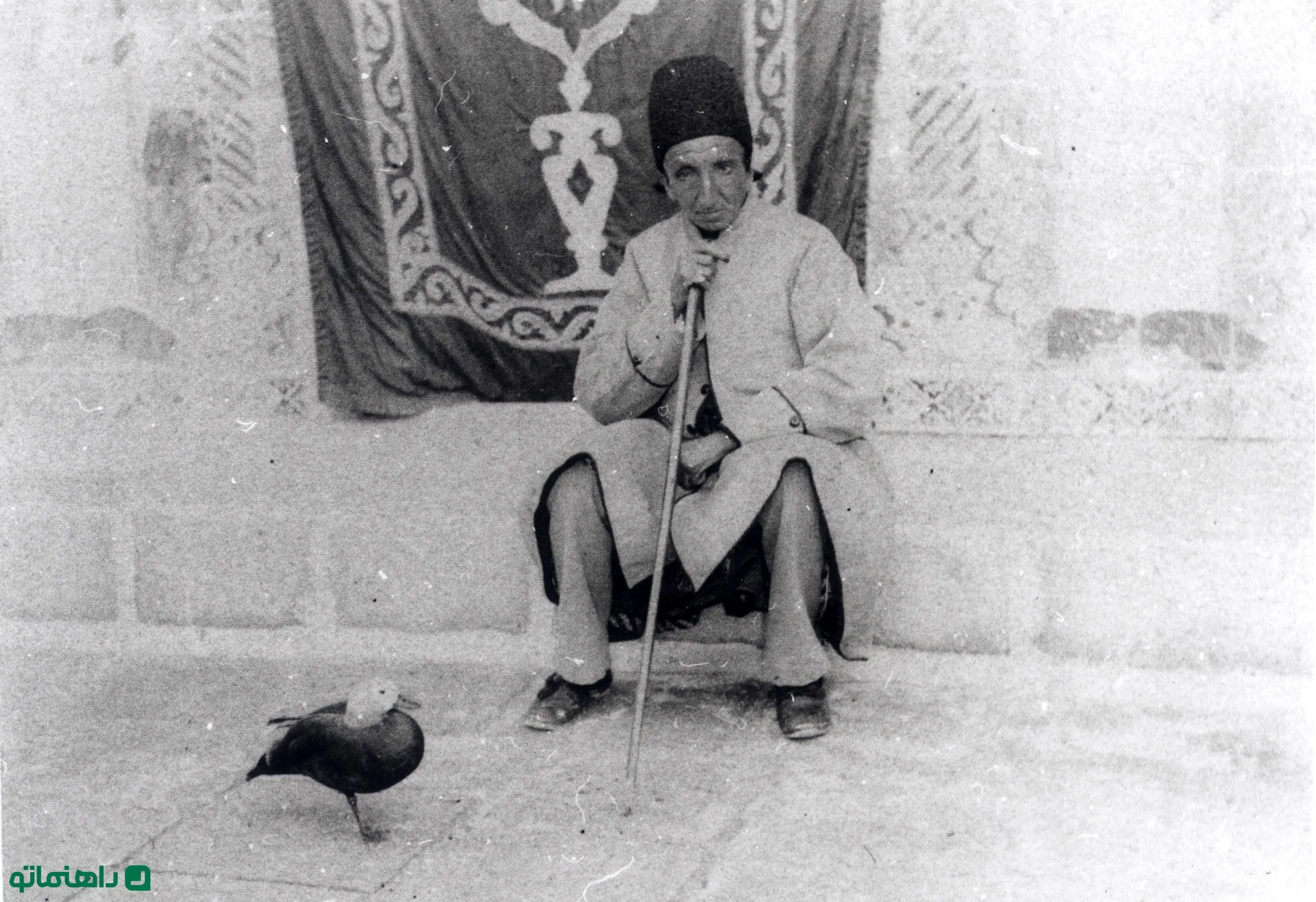 ماجرای عجیب یک اردک عاشق در دربار ناصرالدین شاه + تصاویر