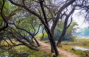 5 پارک جنگلی شرق تهران برای تعطیلات آخر هفته