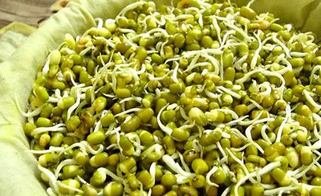 بمب ویتامین و پروتئین را بشناسید 