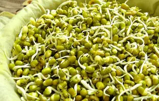 بمب ویتامین و پروتئین را بشناسید 