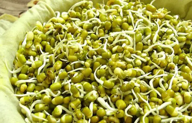 بمب ویتامین و پروتئین را بشناسید 