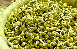 بمب ویتامین و پروتئین را بشناسید 