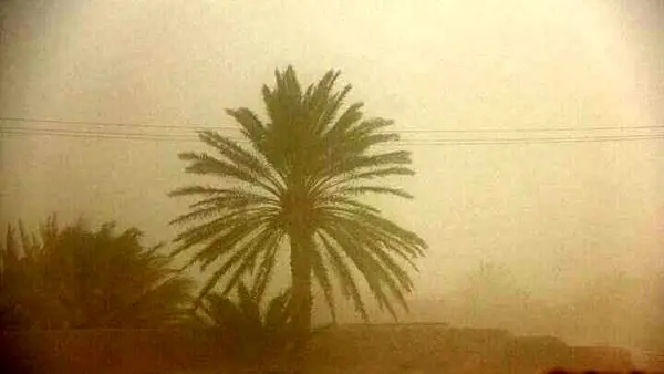  کرمان تعطیل شد 