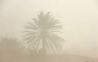  کرمان تعطیل شد 