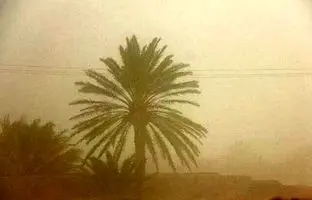  کرمان تعطیل شد 