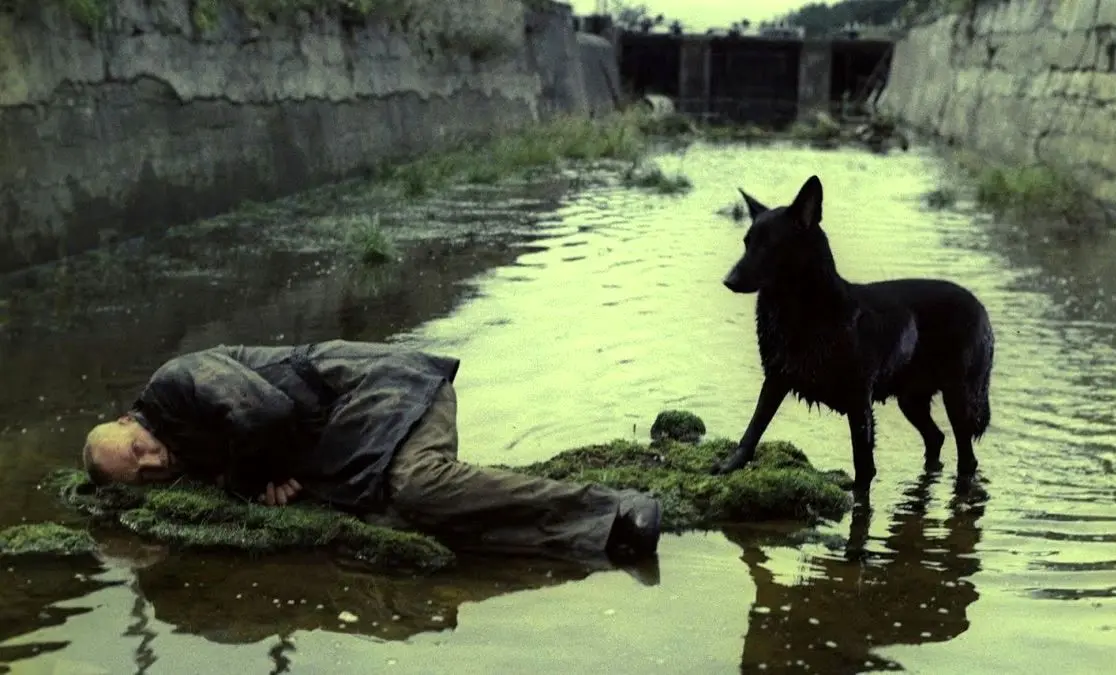 10 فیلم‌ برتر فلسفی تاریخ سینما