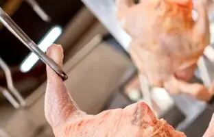 
قیمت گوشت مرغ، امروز دوشنبه ۱۷ دی ۱۴۰۳
