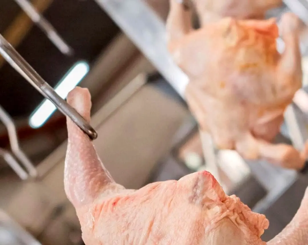 
قیمت گوشت مرغ، امروز شنبه ۱۳ بهمن ۱۴۰۳
