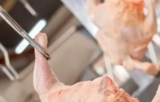 راهنمای بازار؛ قیمت گوشت مرغ، امروز ۲۳ فروردین ۱۴۰۴