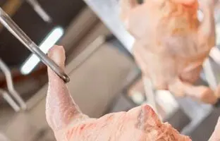 راهنمای بازار؛ قیمت گوشت مرغ، امروز ۲۳ فروردین ۱۴۰۴