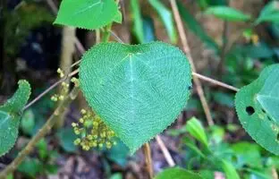 یکبار لمس، یک عمر پشیمانی/ دردی که تمام نمی‌شود