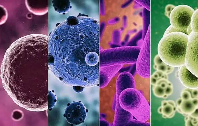 عفونت‌های ویروسی و باکتریایی چه تفاوتی دارند؟ 