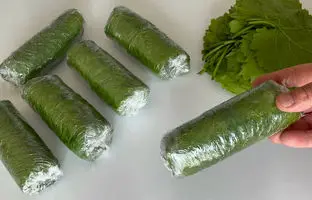  چگونه برگ مو را فریز کنیم؟