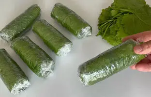  چگونه برگ مو را فریز کنیم؟