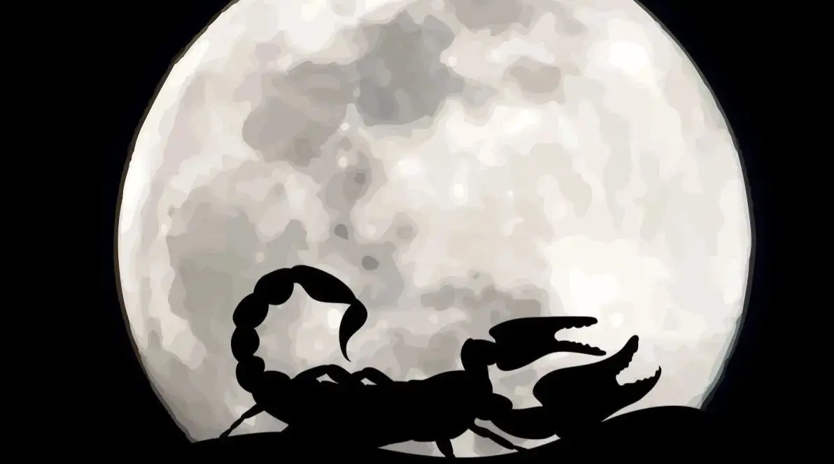 اوضاع قمر در عقرب است؛ حواستان به این مطلب باشد
