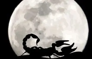 اوضاع قمر در عقرب است؛ حواستان به این مطلب باشد
