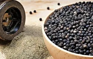 لاغری با مصرف فلفل سیاه؛ چه شکلی بخوریم؟