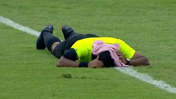 حمله زنبورها مسابقه فوتبال را مختل کرد! + ویدئو