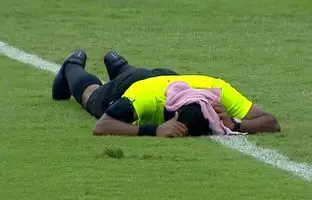 حمله زنبورها مسابقه فوتبال را مختل کرد! + ویدئو