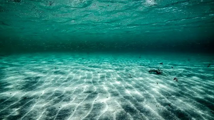 پس از ۷ هزار سال، دوباره زنده شد / موجودی که قرن‌ها خفته بود