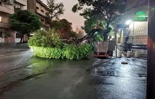 طوفان دیشب تهران ۶ نفر را مصدوم کرد/ پایتخت‌نشیان مراقب باشند