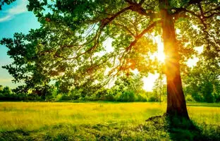 وضعیت آب و هوا امروز پنجشنبه 22 خرداد