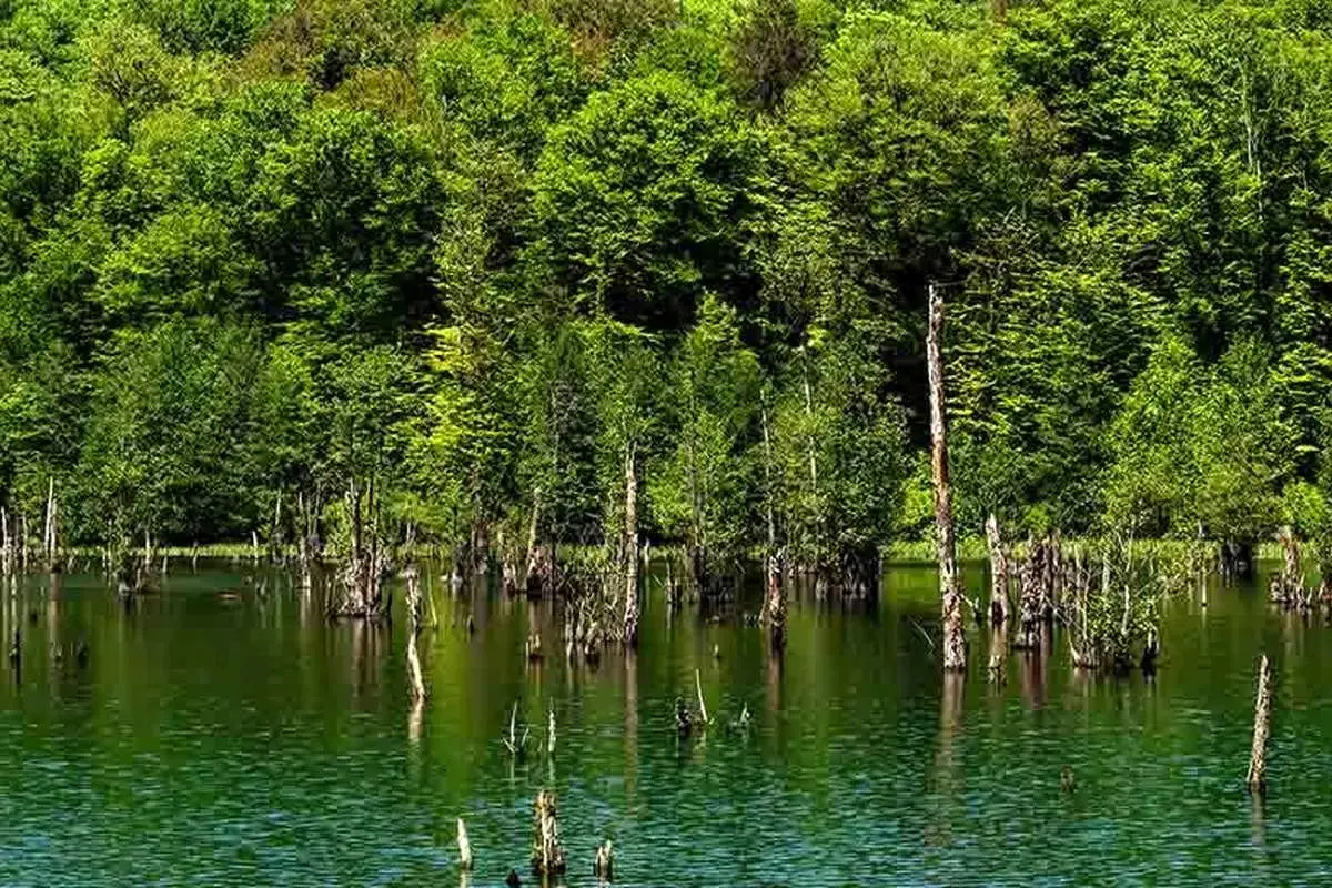  دریاچه ارواح نوشهر؛ سفری به دنیای ترس و سکوت 